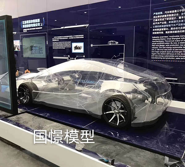 康马县透明车模型